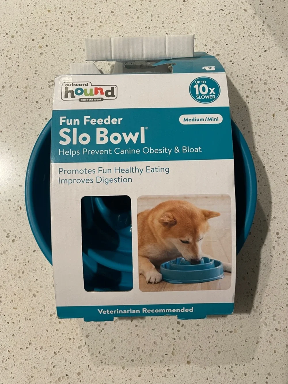 Outward Hound Blue Teal Slo Bowl Fun Feeder